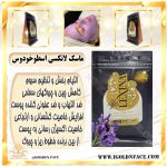 ماسک لاتکس اسطوخودوس لکسینا